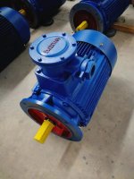 防爆變頻電機技術(shù)參數(shù)
